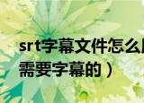srt字幕文件怎么用（看不懂电视的时候还是需要字幕的）