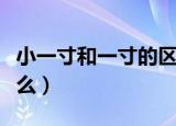 小一寸和一寸的区别（小一寸和一寸区别是什么）