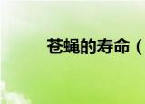 苍蝇的寿命（苍蝇的寿命有多长）