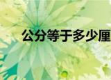 公分等于多少厘米（1公分等于1厘米）