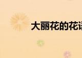 大丽花的花语（大丽花的简介）
