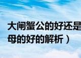 大闸蟹公的好还是母的好（大闸蟹公的好还是母的好的解析）