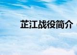 芷江战役简介（关于芷江战役简介）