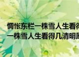 惆怅东栏一株雪人生看得几清明原文翻译及赏析（惆怅东栏一株雪人生看得几清明原文）