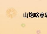 山炮啥意思（山炮指什么）