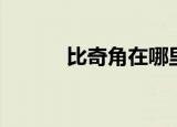 比奇角在哪里（比奇角的简介）