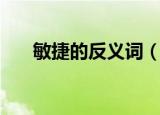 敏捷的反义词（敏捷意思相反的词语）