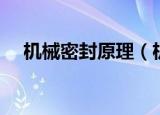 机械密封原理（机械密封是怎么做到的）