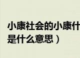 小康社会的小康什么意思（全面建成小康社会是什么意思）
