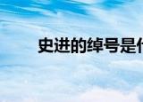 史进的绰号是什么（史进内容介绍）