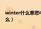 winter什么意思中文（winter中文意思是什么）
