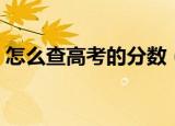 怎么查高考的分数（这五种查询方式都可以）