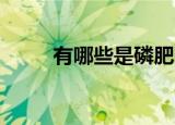 有哪些是磷肥（关于磷肥 的介绍）