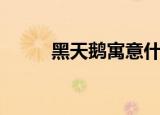 黑天鹅寓意什么（黑天鹅的寓意）