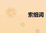 索组词（索如何组词）