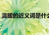 温暖的近义词是什么（温暖的近义词是温和）