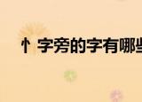 忄字旁的字有哪些（常见的忄字旁的字）
