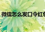 微信怎么发口令红包（微信如何发口令红包）