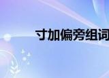 寸加偏旁组词（来看看小学语文）