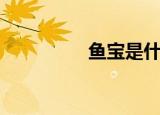 鱼宝是什么（鱼宝介绍）