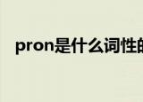 pron是什么词性的意思（pron是何词性）