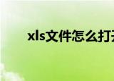 xls文件怎么打开（打开文件的妙招）