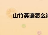 山竹英语怎么说（山竹英语是什么）