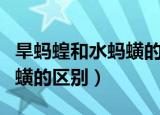 旱蚂蝗和水蚂蟥的区别是什么（旱蚂蝗和水蚂蟥的区别）