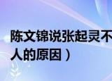 陈文锦说张起灵不是人（陈文锦说张起灵不是人的原因）