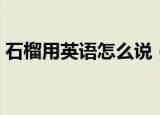 石榴用英语怎么说（石榴用英语应该怎么说）