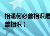 相逢何必曾相识是啥意思（怎么理解相逢何必曾相识）