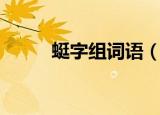 蜓字组词语（蜓字组词语有哪些）