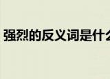 强烈的反义词是什么（强烈的反义词有哪些）