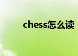 chess怎么读（英语chess怎么读）