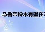 马鲁蒂铃木有望在2020年汽车博览会上展出