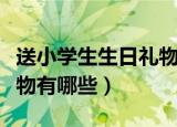 送小学生生日礼物（适合送给小学生的生日礼物有哪些）