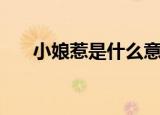 小娘惹是什么意思啊（小娘惹的意思）