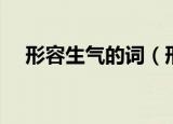 形容生气的词（形容生气的词有哪些呢）