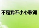不是我不小心歌词（不是我不小心完整歌词）
