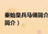 秦始皇兵马俑简介资料（秦始皇兵马俑相关的简介）