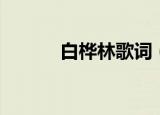 白桦林歌词（白桦林完整歌词）