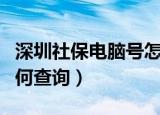 深圳社保电脑号怎么查询（深圳社保电脑号如何查询）