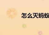 怎么灭蚂蚁（灭蚂蚁的方法）