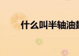 什么叫半轴油封（半轴油封的简述）