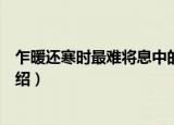 乍暖还寒时最难将息中的将息指的是（乍暖还寒时的原文介绍）