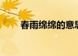 春雨绵绵的意思（春雨绵绵的解释）