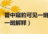 管中窥豹可见一斑是什么意思（管中窥豹可见一斑解释）