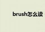 brush怎么读（英语brush怎么读）