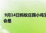  9月14日蚂蚁庄园小鸡宝宝问题 孕妈爱吃酸胎儿的性别一般会是