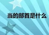 当的部首是什么（汉字当的部首是什么）